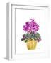 Cyclamen-Neela Pushparaj-Framed Giclee Print