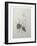 Cyclamen-Pierre-Joseph Redoute-Framed Art Print