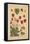 Cyclamen-null-Framed Stretched Canvas