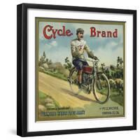 Cycle Brand - Fillmore, California - Citrus Crate Label-Lantern Press-Framed Art Print