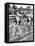 Cycle Racing-null-Framed Stretched Canvas