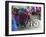 Cycle Rickshaw with a Big Load of Clothes in Amritsar, Punjab, India-David H. Wells-Framed Photographic Print