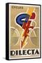 Cycles Dilecta-null-Framed Stretched Canvas