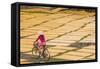 Cycling Past Drying Sheets of Mien Noodle, Nr Hanoi, Vietnam-Peter Adams-Framed Stretched Canvas