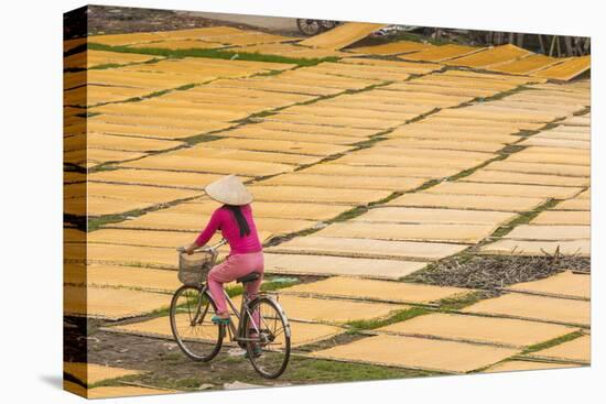 Cycling Past Drying Sheets of Mien Noodle, Nr Hanoi, Vietnam-Peter Adams-Stretched Canvas