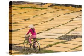 Cycling Past Drying Sheets of Mien Noodle, Nr Hanoi, Vietnam-Peter Adams-Stretched Canvas