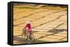 Cycling Past Drying Sheets of Mien Noodle, Nr Hanoi, Vietnam-Peter Adams-Framed Stretched Canvas