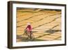 Cycling Past Drying Sheets of Mien Noodle, Nr Hanoi, Vietnam-Peter Adams-Framed Photographic Print