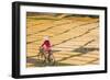 Cycling Past Drying Sheets of Mien Noodle, Nr Hanoi, Vietnam-Peter Adams-Framed Photographic Print