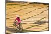 Cycling Past Drying Sheets of Mien Noodle, Nr Hanoi, Vietnam-Peter Adams-Mounted Photographic Print