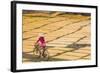 Cycling Past Drying Sheets of Mien Noodle, Nr Hanoi, Vietnam-Peter Adams-Framed Photographic Print