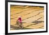 Cycling Past Drying Sheets of Mien Noodle, Nr Hanoi, Vietnam-Peter Adams-Framed Photographic Print