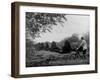Cycling Peat-null-Framed Photographic Print