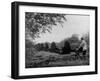 Cycling Peat-null-Framed Photographic Print