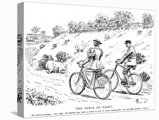 Cycling Replaces Horseriding, 1895-null-Stretched Canvas