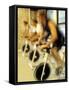 Cycling Spinning Class in Action-null-Framed Stretched Canvas