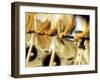 Cycling Spinning Class in Action-null-Framed Photographic Print