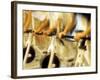 Cycling Spinning Class in Action-null-Framed Photographic Print