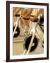 Cycling Spinning Class in Action-null-Framed Photographic Print