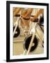 Cycling Spinning Class in Action-null-Framed Photographic Print