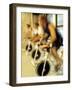 Cycling Spinning Class in Action-null-Framed Photographic Print