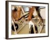 Cycling Spinning Class in Action-null-Framed Photographic Print