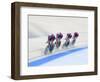 Cycling Team Competing on the Velodrome-Chris Trotman-Framed Photographic Print