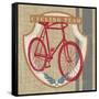 Cycling Team-Sam Appleman-Framed Stretched Canvas