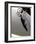 Cyclist and His Shadow-Chris Trotman-Framed Photographic Print