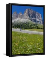 Cyclist and Sassolungo Group, Sella Pass, Trento and Bolzano Provinces, Italian Dolomites, Italy-Frank Fell-Framed Stretched Canvas