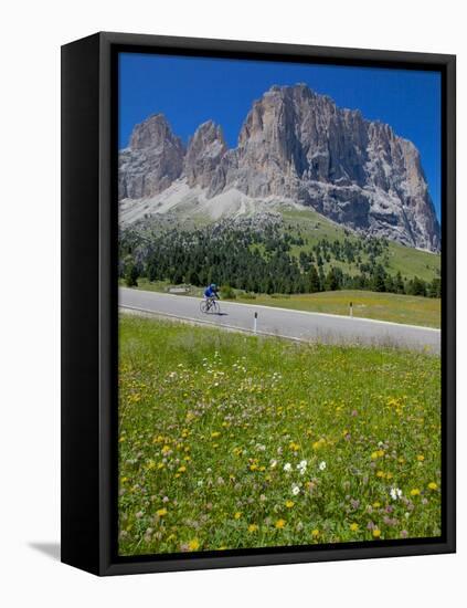 Cyclist and Sassolungo Group, Sella Pass, Trento and Bolzano Provinces, Italian Dolomites, Italy-Frank Fell-Framed Stretched Canvas