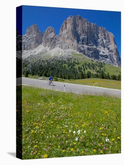 Cyclist and Sassolungo Group, Sella Pass, Trento and Bolzano Provinces, Italian Dolomites, Italy-Frank Fell-Stretched Canvas