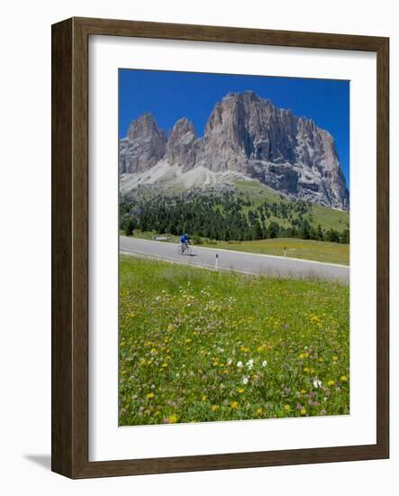 Cyclist and Sassolungo Group, Sella Pass, Trento and Bolzano Provinces, Italian Dolomites, Italy-Frank Fell-Framed Photographic Print