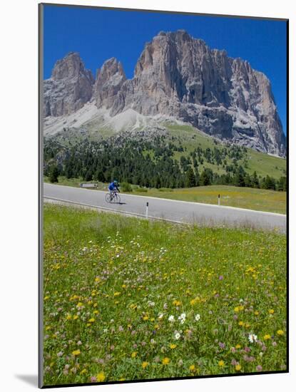 Cyclist and Sassolungo Group, Sella Pass, Trento and Bolzano Provinces, Italian Dolomites, Italy-Frank Fell-Mounted Photographic Print