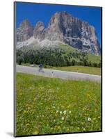 Cyclist and Sassolungo Group, Sella Pass, Trento and Bolzano Provinces, Italian Dolomites, Italy-Frank Fell-Mounted Photographic Print