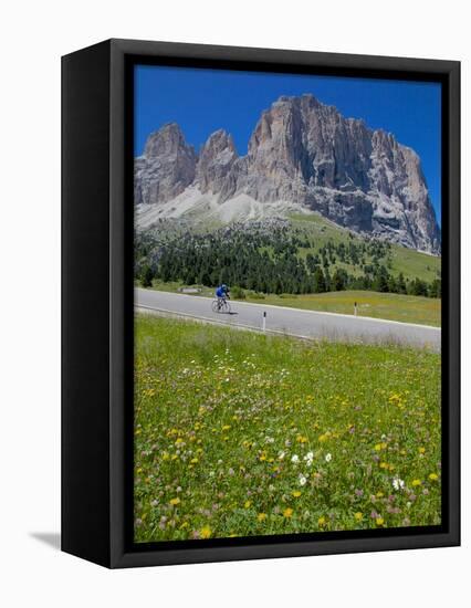 Cyclist and Sassolungo Group, Sella Pass, Trento and Bolzano Provinces, Italian Dolomites, Italy-Frank Fell-Framed Stretched Canvas