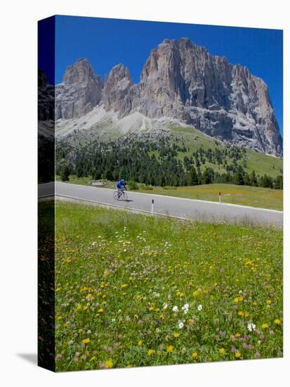 Cyclist and Sassolungo Group, Sella Pass, Trento and Bolzano Provinces, Italian Dolomites, Italy-Frank Fell-Stretched Canvas