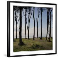 Cyclist (Female) Is Resting, Ghost Wood ('Gespensterwald'), Mecklenburg-Western Pomerania-Rainer Mirau-Framed Photographic Print