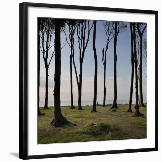 Cyclist (Female) Is Resting, Ghost Wood ('Gespensterwald'), Mecklenburg-Western Pomerania-Rainer Mirau-Framed Photographic Print