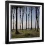 Cyclist (Female) Is Resting, Ghost Wood ('Gespensterwald'), Mecklenburg-Western Pomerania-Rainer Mirau-Framed Photographic Print