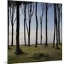 Cyclist (Female) Is Resting, Ghost Wood ('Gespensterwald'), Mecklenburg-Western Pomerania-Rainer Mirau-Mounted Photographic Print