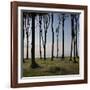 Cyclist (Female) Is Resting, Ghost Wood ('Gespensterwald'), Mecklenburg-Western Pomerania-Rainer Mirau-Framed Photographic Print