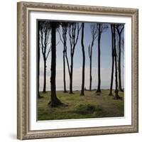 Cyclist (Female) Is Resting, Ghost Wood ('Gespensterwald'), Mecklenburg-Western Pomerania-Rainer Mirau-Framed Photographic Print