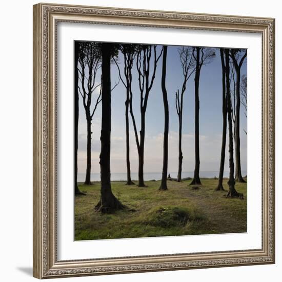 Cyclist (Female) Is Resting, Ghost Wood ('Gespensterwald'), Mecklenburg-Western Pomerania-Rainer Mirau-Framed Photographic Print