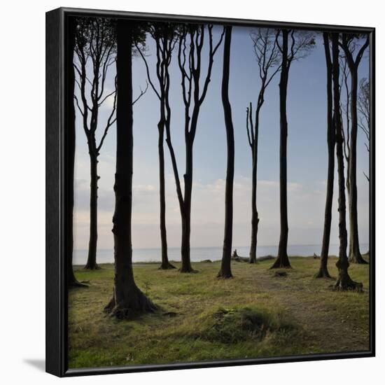 Cyclist (Female) Is Resting, Ghost Wood ('Gespensterwald'), Mecklenburg-Western Pomerania-Rainer Mirau-Framed Photographic Print