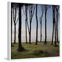 Cyclist (Female) Is Resting, Ghost Wood ('Gespensterwald'), Mecklenburg-Western Pomerania-Rainer Mirau-Framed Photographic Print