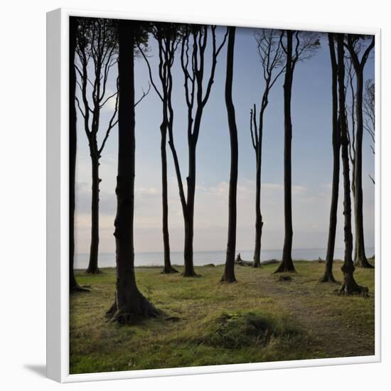 Cyclist (Female) Is Resting, Ghost Wood ('Gespensterwald'), Mecklenburg-Western Pomerania-Rainer Mirau-Framed Photographic Print