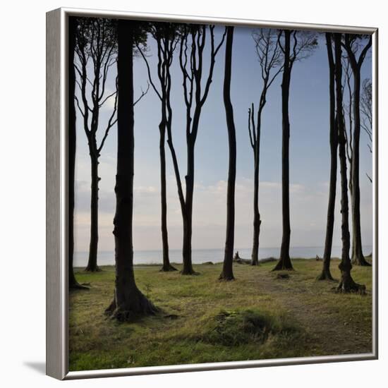 Cyclist (Female) Is Resting, Ghost Wood ('Gespensterwald'), Mecklenburg-Western Pomerania-Rainer Mirau-Framed Photographic Print