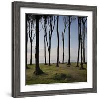 Cyclist (Female) Is Resting, Ghost Wood ('Gespensterwald'), Mecklenburg-Western Pomerania-Rainer Mirau-Framed Photographic Print