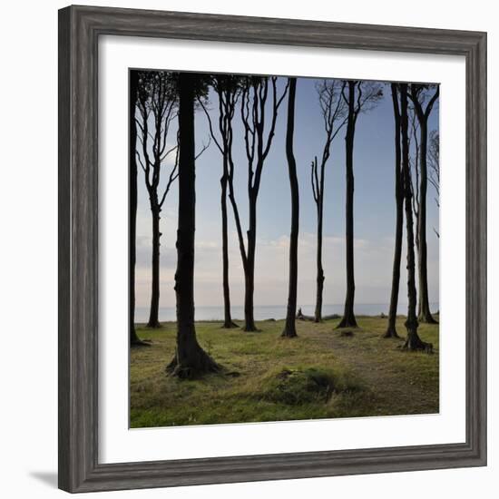 Cyclist (Female) Is Resting, Ghost Wood ('Gespensterwald'), Mecklenburg-Western Pomerania-Rainer Mirau-Framed Photographic Print